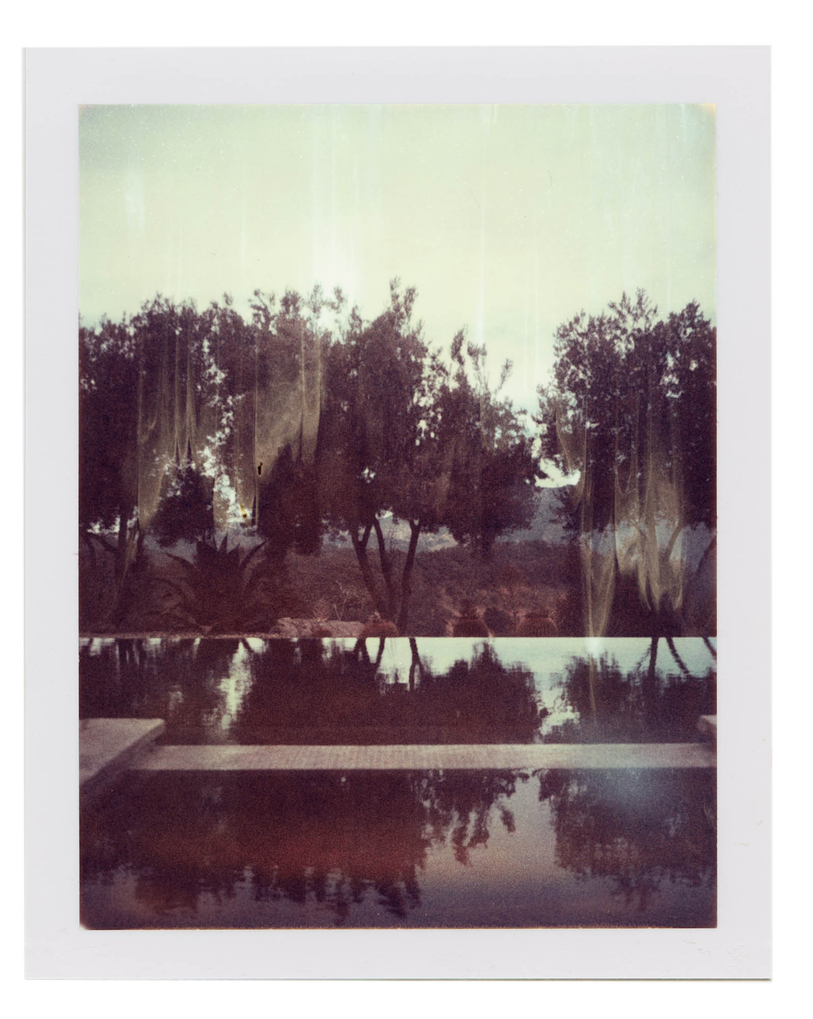 Robin_Piccone_Benjo_Arwas_Polaroids_29_lowres.JPG
